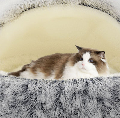 Nido Acogedor para Gatos con Diseño Envolvente - Image 15