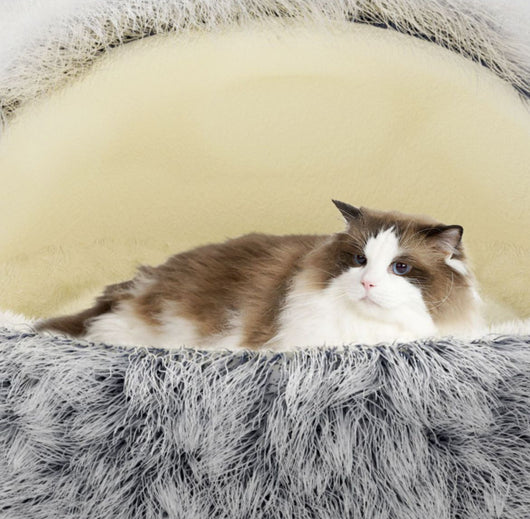 Nido Acogedor para Gatos con Diseño Envolvente - Image 15