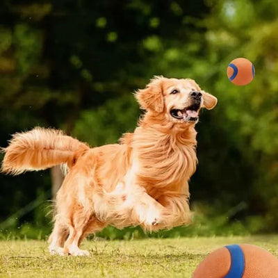 Pelota de Juego Resistente para Perros - Juguete Elástico para Traer y Masticar - Image 17