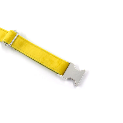 Collar de Terciopelo Amarillo y Verde para Perro - Image 4