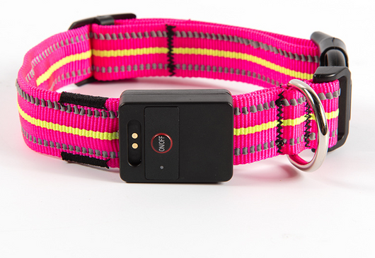 Collar Inteligente para Mascotas con Fibra Óptica, Impermeable y Carga Magnética - Image 17