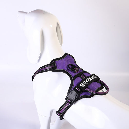 Arnés Personalizado para Perro en Tela Oxford - Image 10