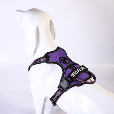 Mochila Personalizada para Perro en Tela Oxford - Image 10