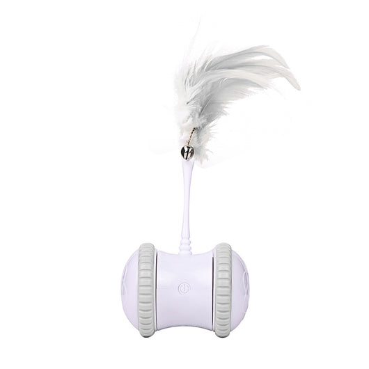 Juguete Eléctrico Interactivo para Gatos con Movimiento - Image 9