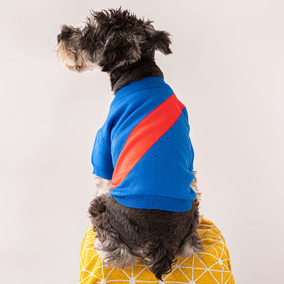 Ropa para Perros Corgi Poodle - Abrigos y Suéteres Cómodos - Image 11