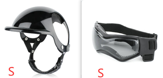 Casco de Seguridad para Mascotas en Moto - Protección Divertida para Perros y Gatos - Image 6
