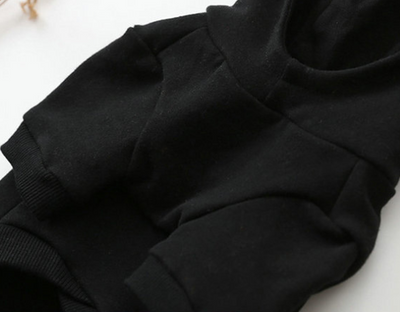 Ropa Elegante para Perros en Otoño e Invierno - Image 12