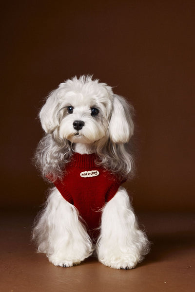 Chaleco Térmico sin Mangas para Perros Schnauzer, Bichón y Razas Pequeñas - Image 29