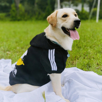 Ropa Térmica para Perros Labrador Talla Grande - Image 6