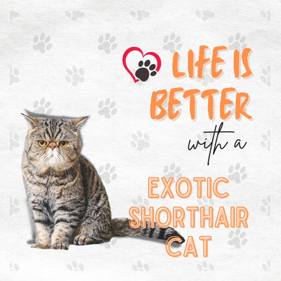 Funda de Almohada con Estampa de Gato Artístico en Algodón y Lino - Image 8