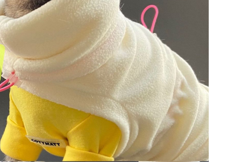 Suéter Térmico para Gato Sphinx - Abrigo Universal Invierno