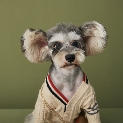 Suéter de Moda para Perros Otoño Invierno - Marca Trendy - Image 12