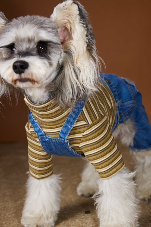 Ropa de Invierno para Perros Pequeños - Jeans Acolchado Térmico - Image 17