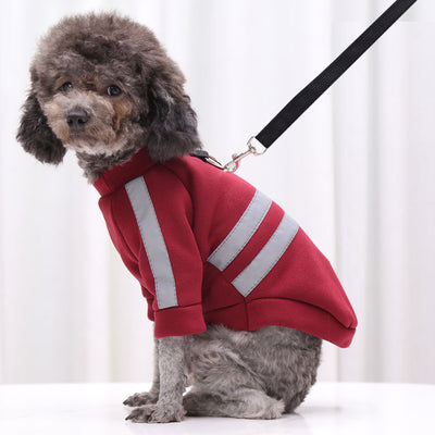 Suéter Reflectante para Paseos Nocturnos - Ropa para Perros y Gatos - Image 34