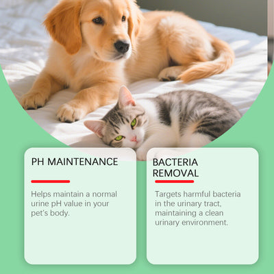 Gotas de Salud Urinaria para Gatos y Perros - Image 4