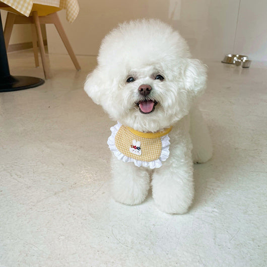 Babero Absorbente para Mascotas - Toalla Saliva Perros y Conejos - Image 5