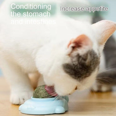 Light green turtle-shaped catnip toy with a clear, football-patterned dome filled with catnip. - Image 3