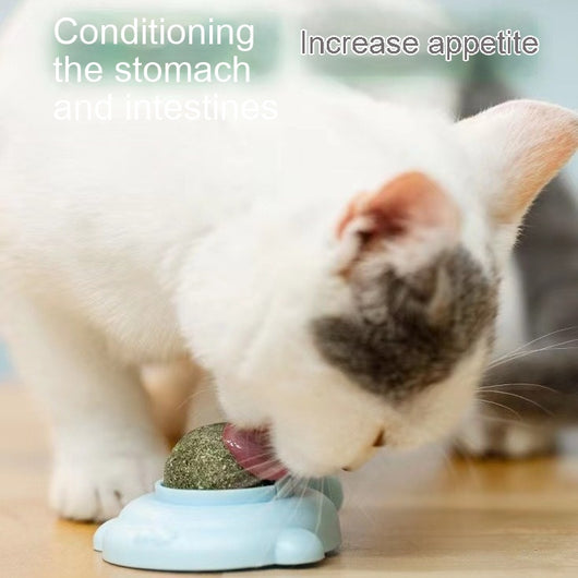Light green turtle-shaped catnip toy with a clear, football-patterned dome filled with catnip. - Image 3