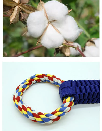 Juguete de Cuerda para Tirar Limpiador Dental Interactivo para Perros - Image 16