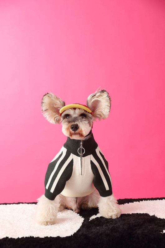 Suéter Deportivo para Perros - Cardigan Cómodo para Mascotas - Image 27