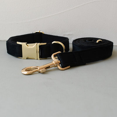 Correa y Collar Doble Capa de Microfibra con Hebilla Oro Rosa