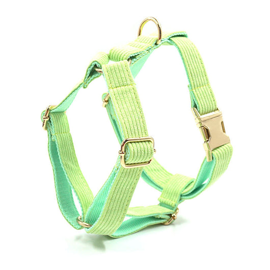 Chaleco de Pecho para Perro en Pana con Letras Láser - Image 6