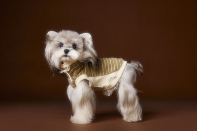 Suéter Tejido sin Mangas para Perros Pequeños Bichón Maltés York - Image 23