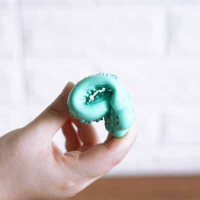 Cepillo de Dientes Juguete Pez para Perros y Gatos - Limpieza Dental y Diversión - Image 6