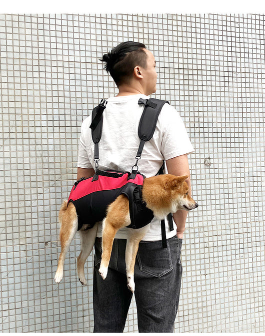 Mochila Transportadora Aérea para Mascotas - Paseos y Aventuras - Image 27