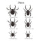 ZZ 001 Araña 24 Piezas