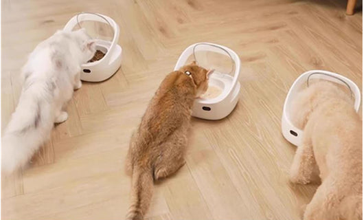Comedero Inteligente para Mascotas con Control de Porciones - Image 5
