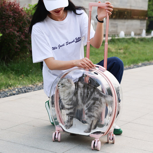Bolsa Transportadora Transparente para Gatos