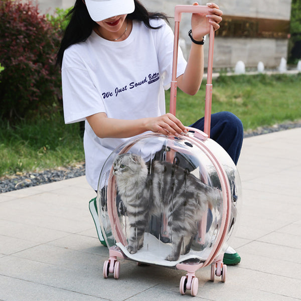 Bolsa Transportadora Transparente para Gatos
