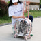 Bolsa Transportadora Transparente para Gatos