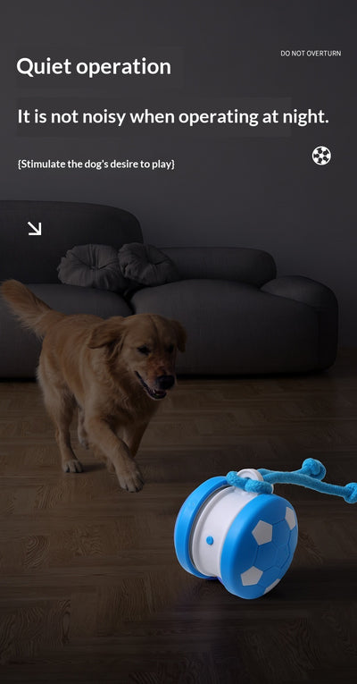 Juguete Interactivo Eléctrico para Gatos y Perros - Bola Autojugable - Image 14