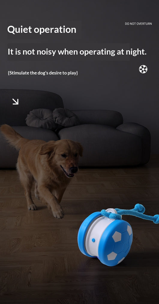 Juguete Interactivo Eléctrico para Gatos y Perros - Bola Autojugable - Image 14