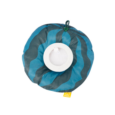 Collar Protector Antimordisc para Gatos - Esterilizable y Seguro - Image 3