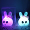 Rosado Grande Ear Rabbit