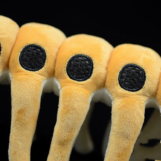Peluches de la Serie Original de Paleontología - Image 4