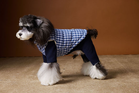 Chaleco Acolchado de Invierno para Perros - Image 13