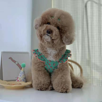 Falda Protectora para Perros Pequeños, Medianos y Grandes - Image 14