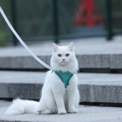 Arnés de Seguridad para Gatos con Correa Antiescapes - Image 10