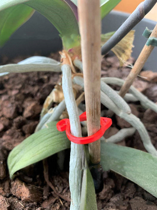 Sujetador de Planta en Forma de Gato - Image 4
