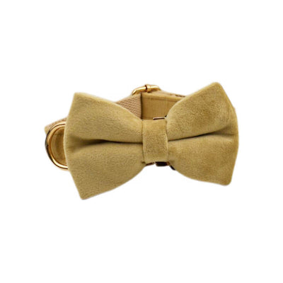 Collar de Terciopelo para Perro - Suave y Elegante - Image 16
