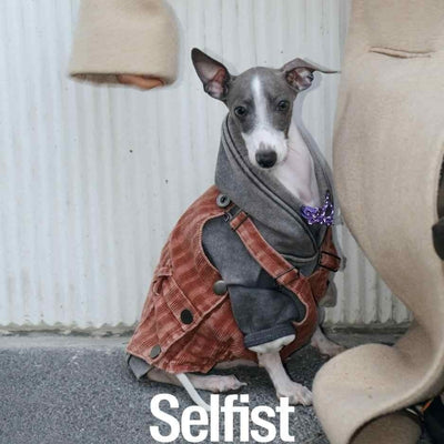 Kit de Aseo Profesional para Perros Pequeños - Schnauzer, Bichón y Razas Similares