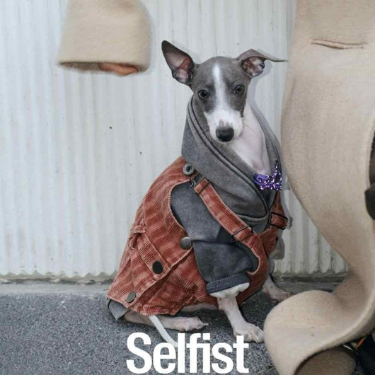 Kit de Aseo Profesional para Perros Pequeños - Schnauzer, Bichón y Razas Similares