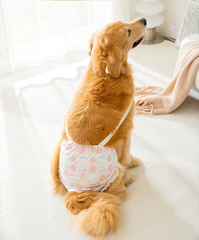 Pantaletas Menstruales Absorbentes Big Dog - Protección Cómoda Todo el Día - Image 11