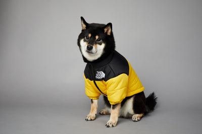 Abrigo Impermeable y Cortavientos para Perros - Ropa de Invierno Acolchada - Image 39
