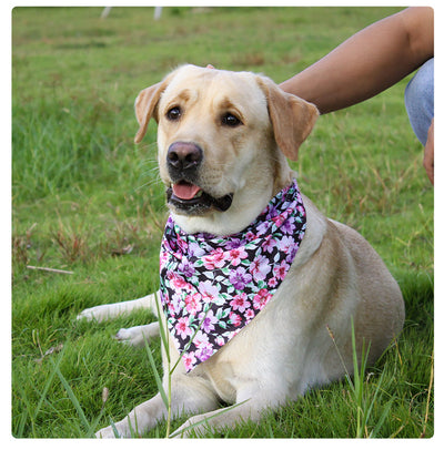 Chaleco Arnés Universal para Mascotas con Enganche Pectoral y Dorsal - Image 28