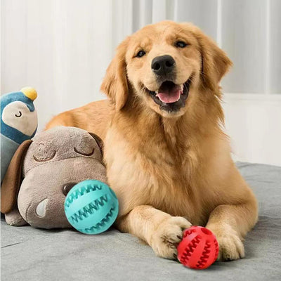 Juguetes Interactivos para Perros Pequeños - Pelotas de Cuerda y Caucho con Dispensador de Premios - Image 8